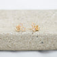 Aretes Moonstar
